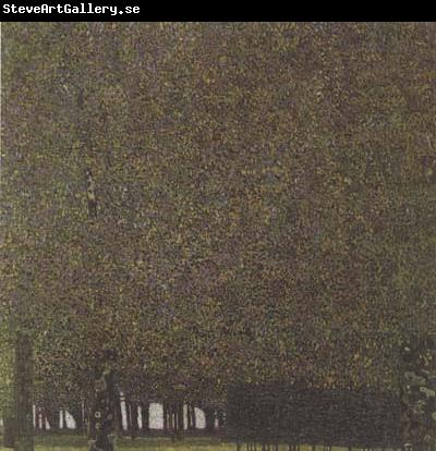 Gustav Klimt The Park (mk20)